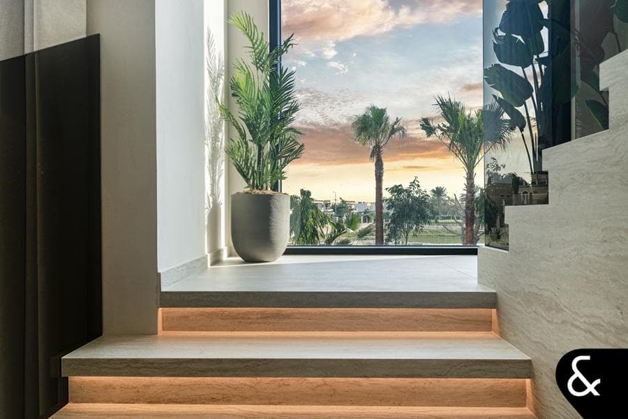 Oasis Clusters Gallery