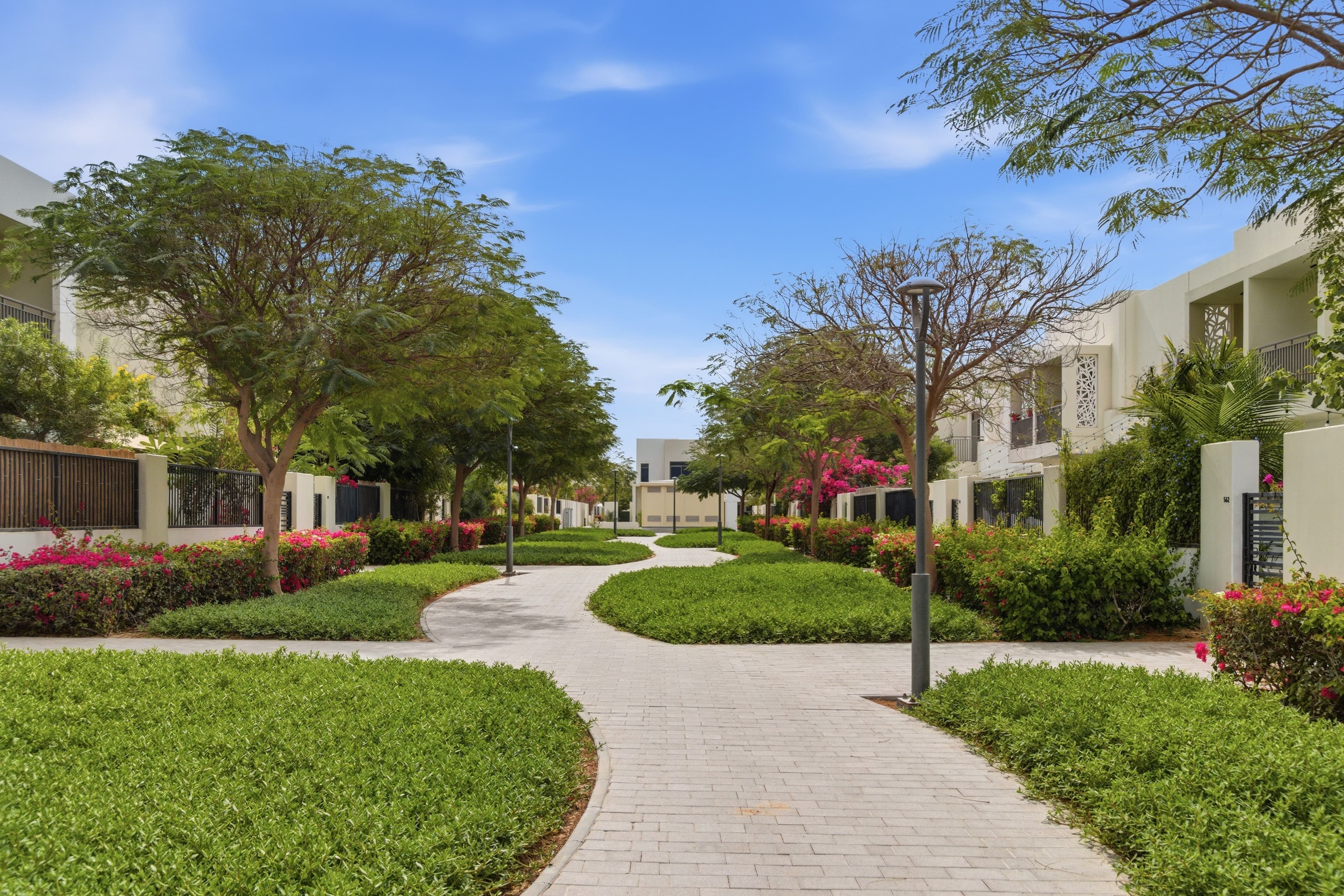 Town Square Nshama Community Guide