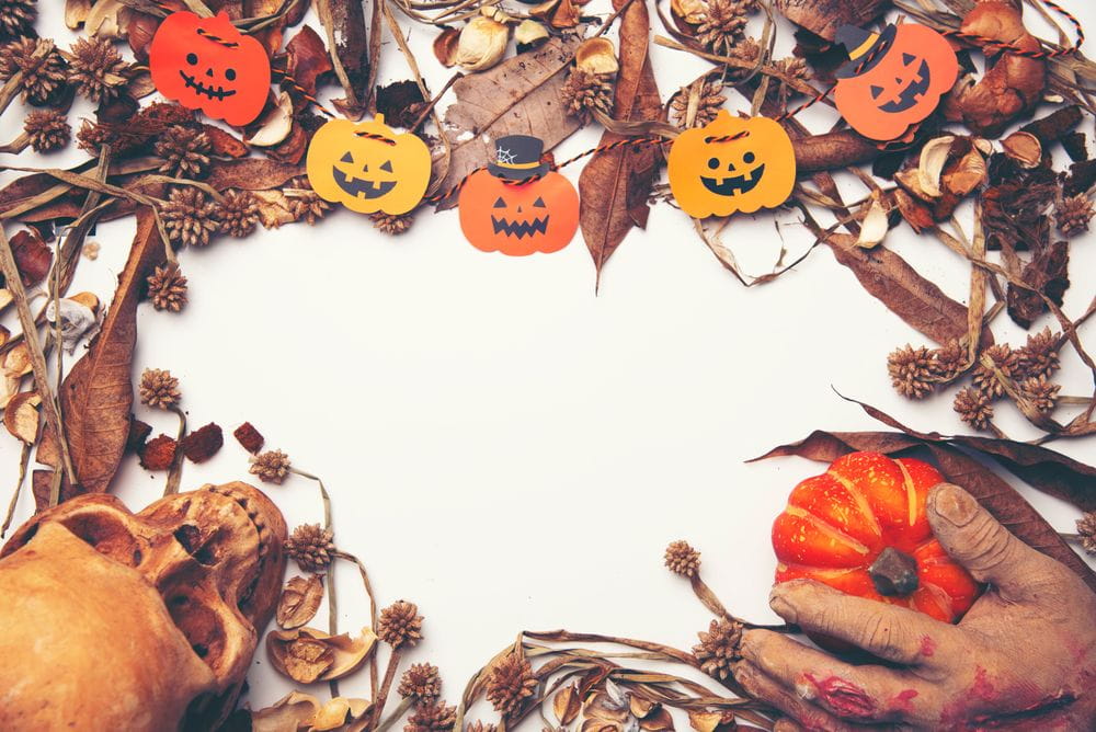 News banner - Image